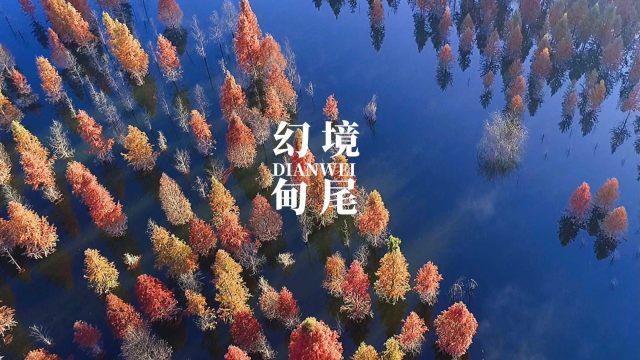 逃离午夜神坛